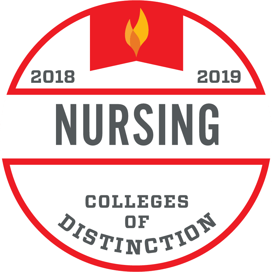 Circle outlined in red. States "2018-2019/Nursing/Colleges of Distinction."