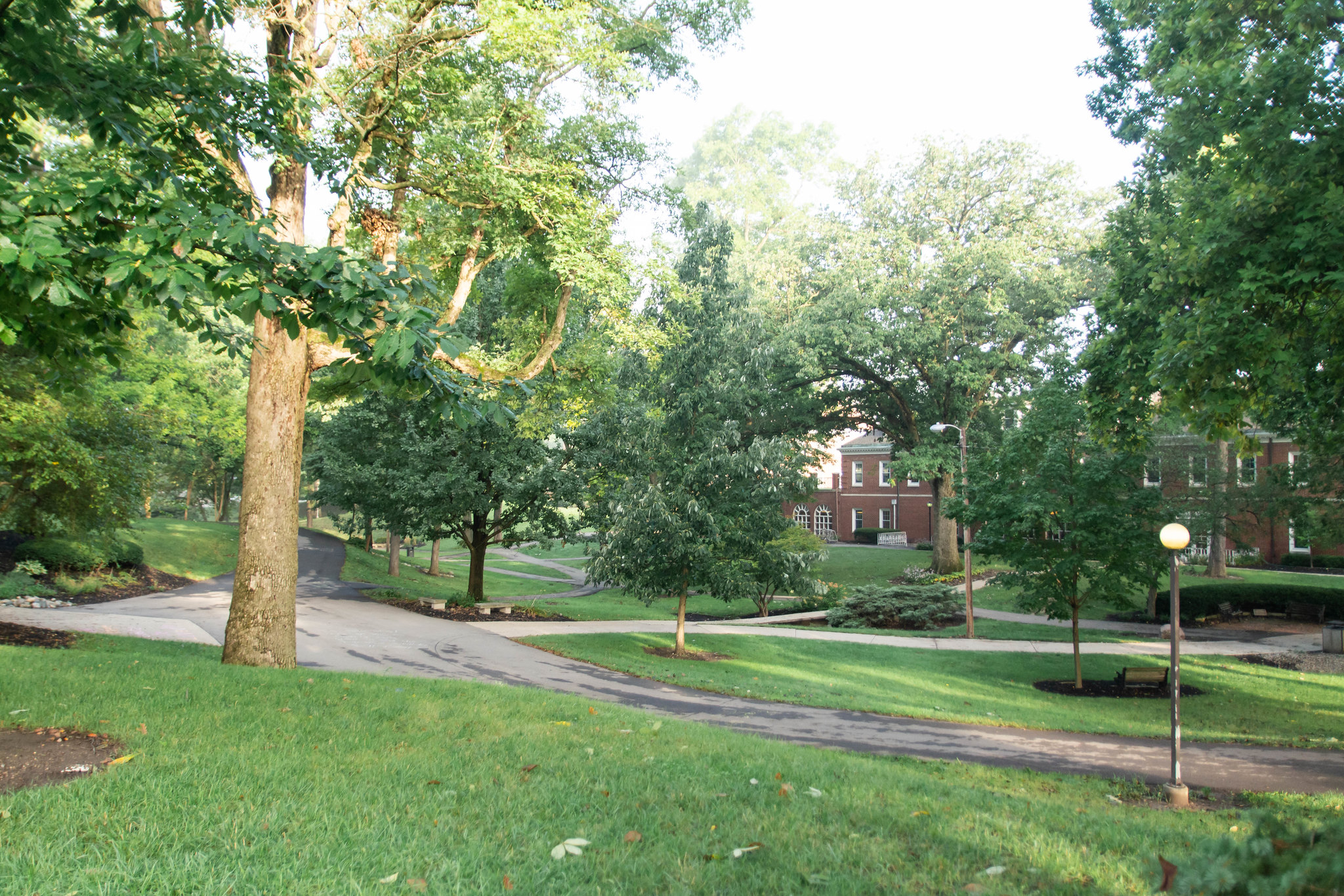 The Valley at Anderson University in summertime