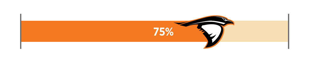 75% Progress Toward Goal 75% progress toward a focused fundraising goal of Anderson University