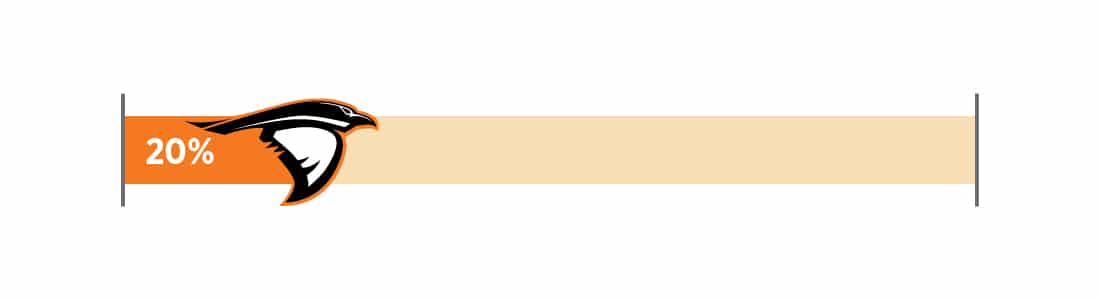 17% progress toward a focused fundraising goal of Anderson University